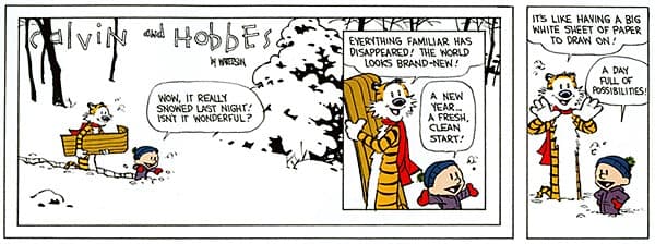 Calvin & Hobbes #1